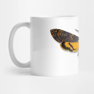 Death's Head Hawkmoth Mug